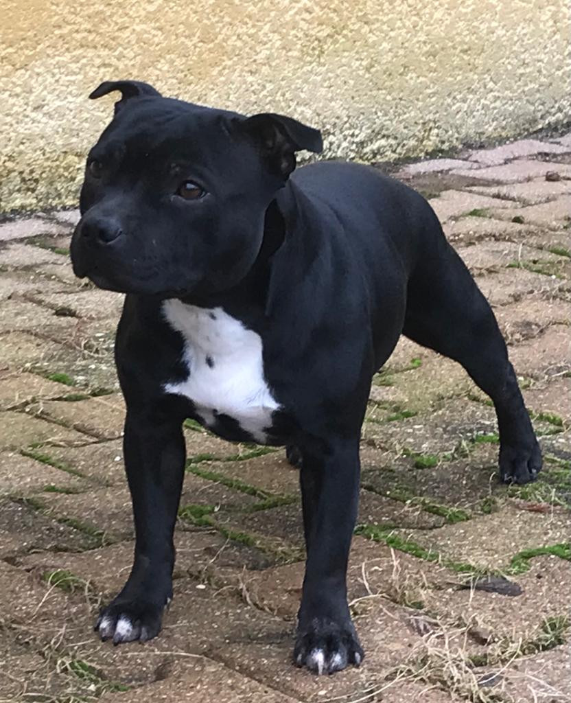 FUTURE PORTÉE ATTENDUE